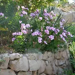 Vacanze Farchikala דירה *