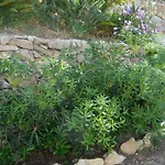 דירה Vacanze Farchikala