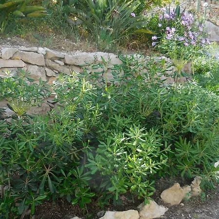 Apartment Vacanze Farchikala